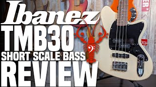 Ibanez Talman TMB30 Short Scale Bass - Budget Shorty Comes Up a Bit Short - LowEndLobster Review