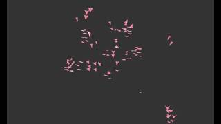 Boids 3d with python