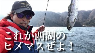 【釣りどないやねん】第２回西湖でヒメマス釣り