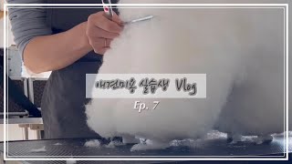 애견미용 학원생 일상 Vlog | 애견미용학원 | 겨울 시작 | 램클립 | 초벌 | 국비 과정