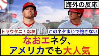 なおエネタ、アメリカでも大人気【海外の反応】