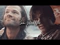 The Story of Sam Winchester {1x01-15x20}