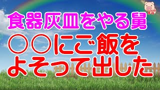 【スカッとする話 Ⅱ】食器灰皿をやる舅。〇〇にご飯をよそって出した（スカッとんCH）