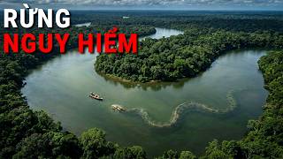 15 Những Khu Rừng Rậm Nguy Hiểm Nhất Trong Thế Giới