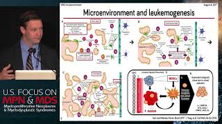 Advances in understanding of MDS microenvironment