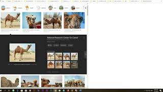 Udacity Tutorial Full Stack Development Track First Lab Test Solution | HTML CSS3 Beginner Tutorial