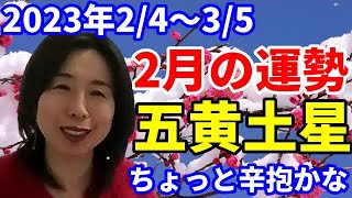 九星気学で見る2023年２月の五黄土星の運勢～お仕事、お母さん、お姑さんのことで悩みそうかな？