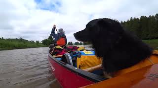 Full Saugeen River Canoe Trip (southwestern Ontario) - PART 2, McBeath to Saugeen Bluffs C.A..