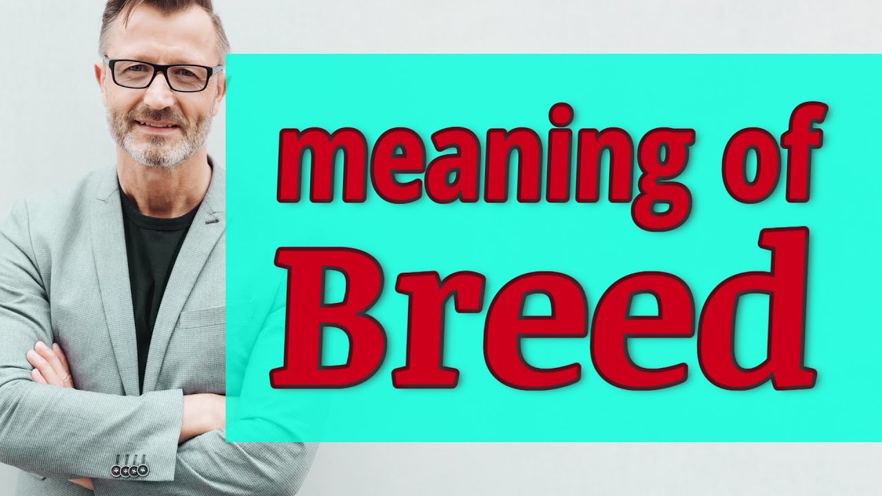 What Does Breedable Mean Sexually What Does Breedable Mean Sexually