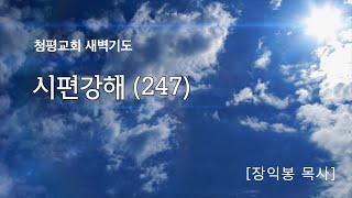 청평장로교회 새벽기도회 시편강해(247) \