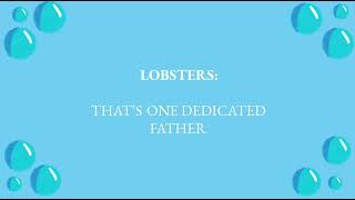 One Dedicated Father Lyrics - Finding Nemo Jr.