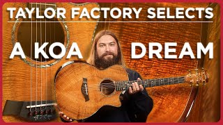 Taylor Made Our Dream Koa Guitar | New Custom Master Grade Koa