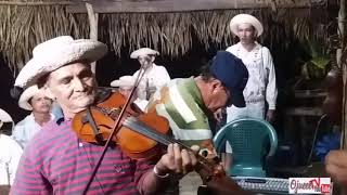 PEDRO UREÑA TOCA UNA CUMBIA DE VIOLÍN CON MEJORANA.