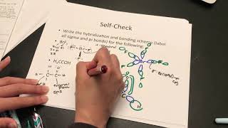 Valence Bond Theory Practice