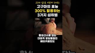 오래 살고 싶다면 고구마 이렇게 드세요! 고구마의 효능 300% 높이는 섭취법 3가지 #shorts #건강정보 #고구마