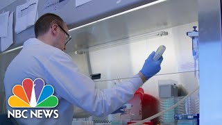 NBC News’ Lester Holt Goes Inside Lab Creating Potential Coronavirus Treatment | NBC Nightly News