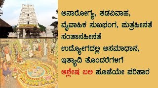 kukke subramanya_ಸರ್ವ ಸಮಸ್ಯೆಗಳಿಗೂ ಆಶ್ಲೇಷ ಬಲಿ ಪೂಜೆಯೇ ಪರಿಹಾರ!