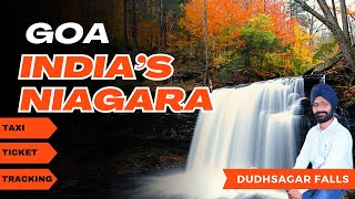 Dudhsagar Waterfall Goa | Dudhsagar Waterfall Travel Guide with Budget | Dudhsagar Trek Guide | GOA