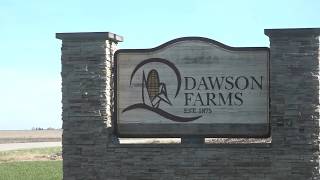 Success of Dawson Farms