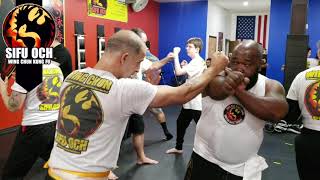 BEGINNER Wing Chun Clips #3 - Sifu Och students training | Lakeland Florida | Wing Chun Kung Fu