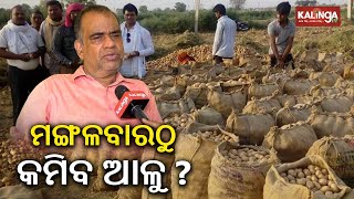 Potato price likely to decrease from Tuesday in Odisha || News Corridor || Kalinga TV