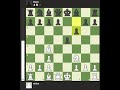 Chess- Learn a Petrov's Defense Gambit!