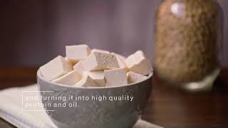 Sustainable Soy | video production by Skylight Productions in Ontario, Canada