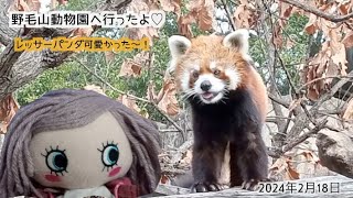 野毛山動物園に行ってきました〜！2024年2月18日