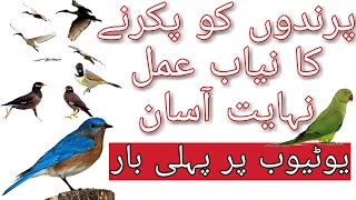 parindo ko pakadne ka Amal | Birds Catching | in Urdu Hindi | Tilismati Amliyat