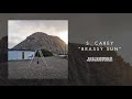 s. carey brassy sun official audio