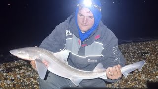 beach fishing on Selsey bill for smooth hound with my new go pro sea fishing uk