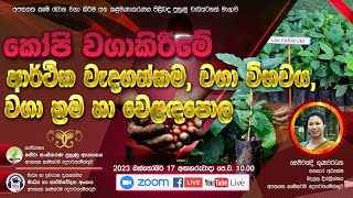 කෝපි වගාවේ ආර්ථීක වැදගත්කම වගා විභවය වගා ක්‍රම සහ වෙළඳපොල