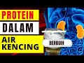 PROTEIN DALAM AIR KENCING | BUAH PINGGANG BOCOR