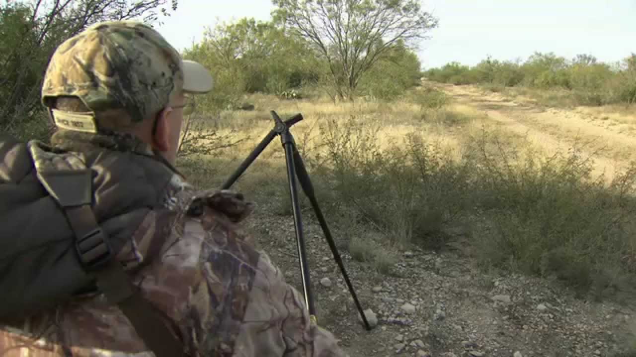 Big Buck Rattling Strategy - YouTube