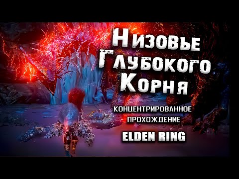 Elden ring низовье глубокого корня карта