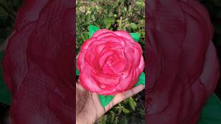 Diy tissue paper rose🌹#shorts #youtubeshorts #diy #craft #rose #artandcraft #viralvideo #trending