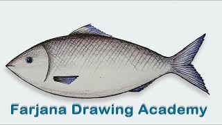 How to draw  a fish step by step (very easy)