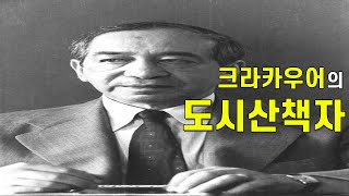 크라카우어의 도시산책자. 모더니즘의 관찰자