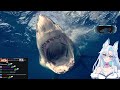 sharks are unbelievable and here s why casual geographic react