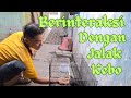 Berinteraksi dengan paijo paijem burung jalak kebo ku #animals #birds #dubbing