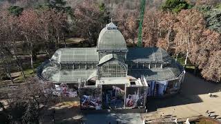 Miguel Ángel Tornero interviene el Palacio de Cristal