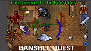 FAZENDO A BANSHEE QUEST SOLO DETALHADO