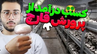 پرورش قارچ مرحله به مرحله| 🤑 با این کار پول پاروکن