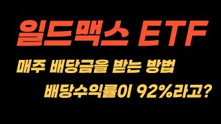 매주 배당금을 받을 수 있는 일드맥스 ETF 총정리 | 고배당 ETF