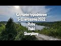 Czytanie tygodniowe 5-11 września 2022 trygon wody ryby ♓raki ♋skorpiony ♏