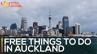 Free Things To Do in Auckland with Auckland Explorer Bus | New Zealand | World Culture Network