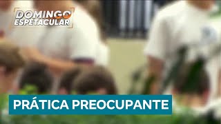 Escola particular de SP expulsa alunos por bullying e escancara problema que pode levar a morte