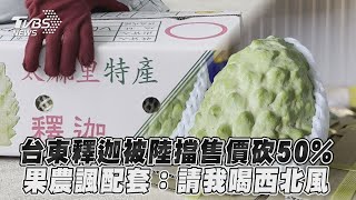 【發燒話題】台東釋迦被陸擋售價砍50% 果農諷配套：請我喝西北風