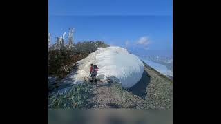 ぐんま県境稜線トレイル 野反湖～三国峠