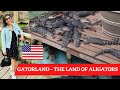 Gatorland Tour at Orlando, Florida - The Alligator Capital of the World